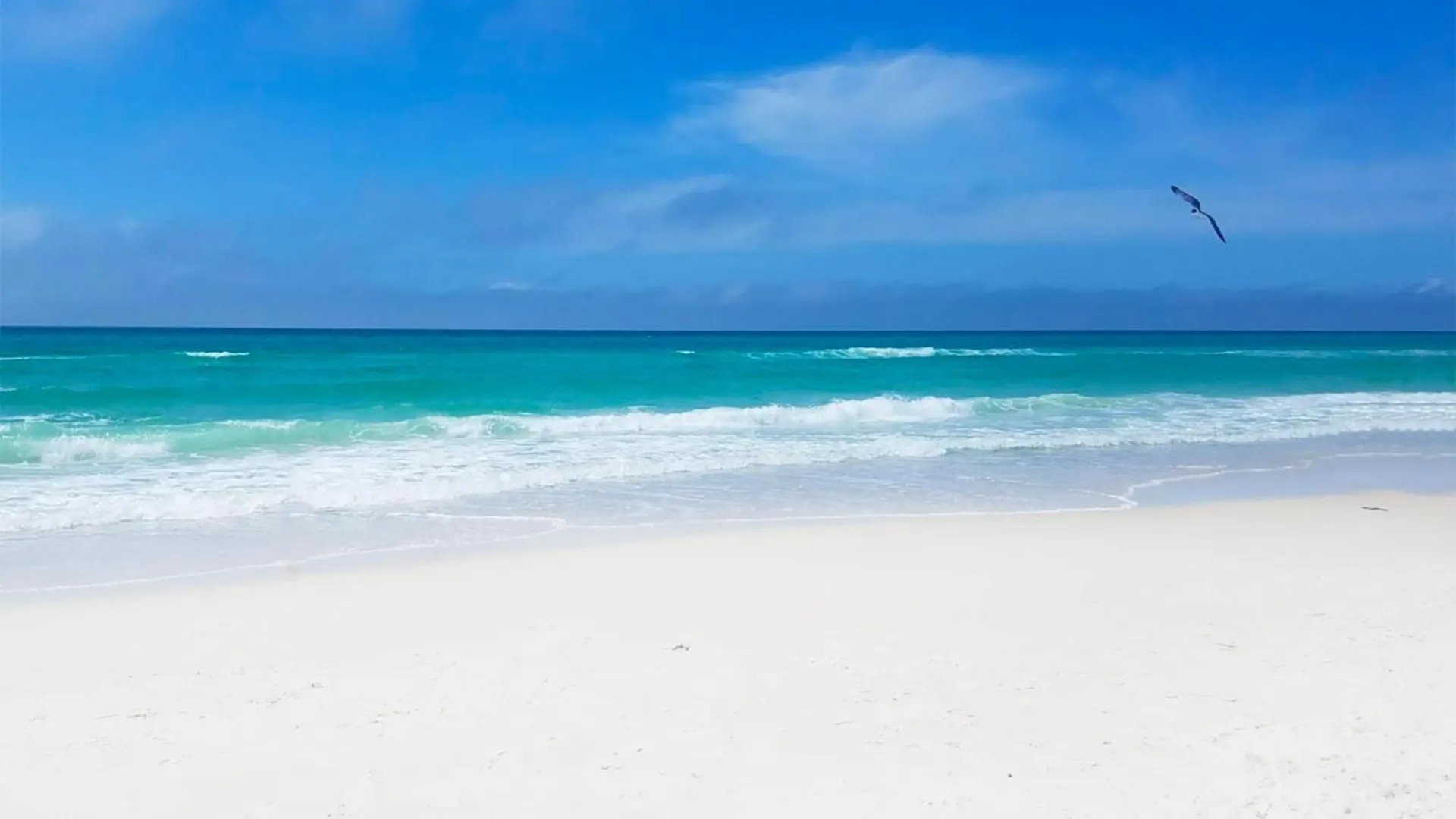Casa vacanze Villa Sunset Breeze Panama City Beach Stati Uniti